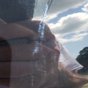 whatisthisc