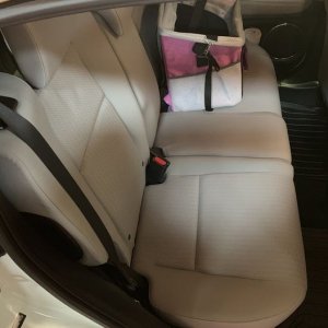 Review BLACKFIRE Fabric Protectant