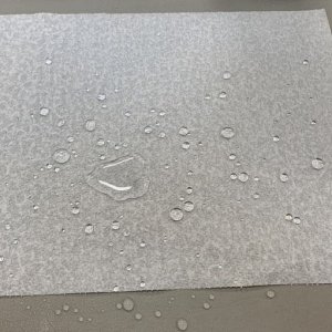 Waterproofing a Paper Towel Mike Phillips