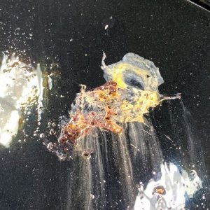 Roadshow Car Detailing Class in Auburn Indiana Mike Phillips