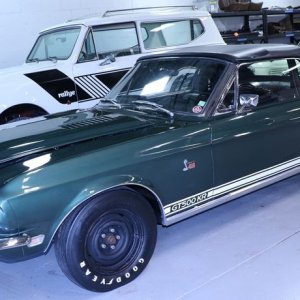 Bucket List Buff 1968 Shelby Mustang GT500KR by Mike Phillips