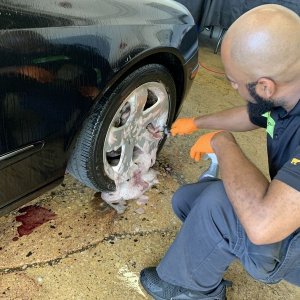 Car Detailing Classes Learn to Detail Cars