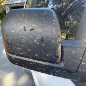 BLACKFIRE Bug BLOCKER Ford Truck
