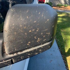 BLACKFIRE Bug BLOCKER Ford Truck