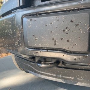 BLACKFIRE Bug BLOCKER Ford Truck