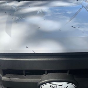 BLACKFIRE Bug BLOCKER Ford Truck