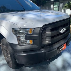 BLACKFIRE Bug BLOCKER Ford Truck