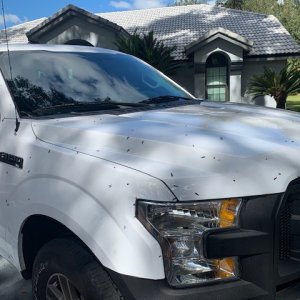 BLACKFIRE Bug BLOCKER Ford Truck