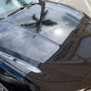 Maintenance Wash Ceramic Coated Car Mike Phillips