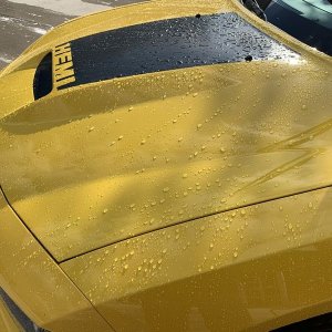 As Seen On TV Water Beading Car Wash