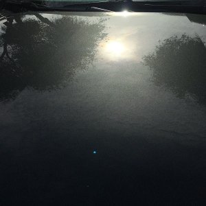 IMG_5201a