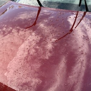Roadshow Detailing Class Allentown Pennsylvania Mike Phillips