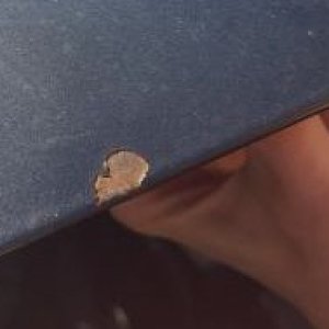 Rust Spot on car after painting