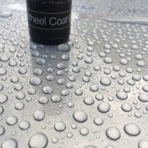 Drexler_Wheel_Coat