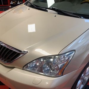 Review Waterless Wash and Protect Pinnacle Black Label