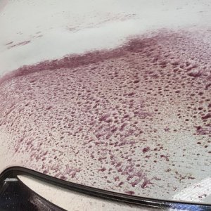 Review BLACKFIRE Iron Remover Gel