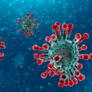 Coronavirus Covid 19