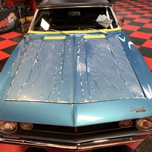 Review Wolfgang Si02 Paint Sealant