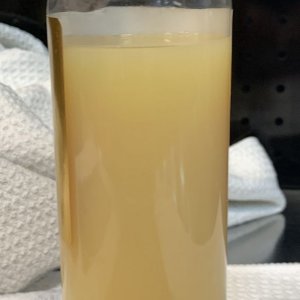 Review Letherique Leather Rejuvenator and Pristine Clean