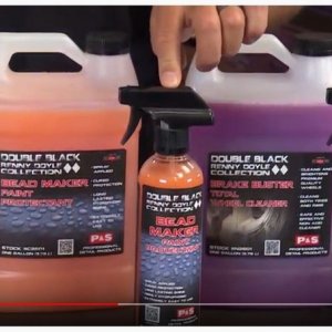 Dennis Gage Mike Phillips Autogeek P & S Detailing Products