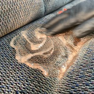 Review BLACKFIRE Enzyme Cleaner
