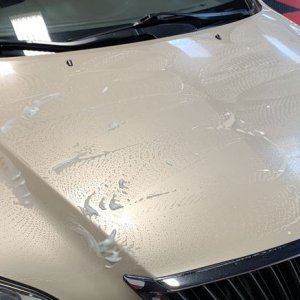 Real World Ceramic Coating Test Mike Phillips Autogeek