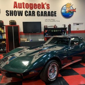 1976 Corvette Orignal Single Stage Paint - Paint Correction and Waxing