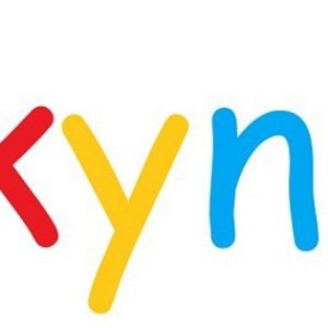 Skynet