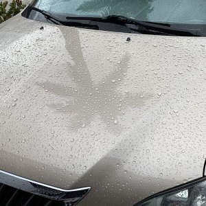 Real World Ceramic Coating Test by Mike Phillips