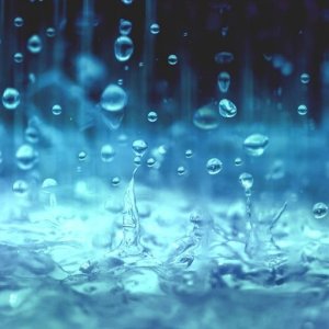 Whats in the water mike phillips autogeek