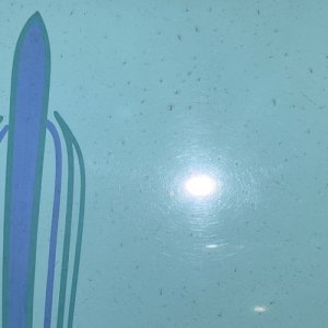 Review Wolfgang PROFI Ceramic Coating 1932 Ford Roadster