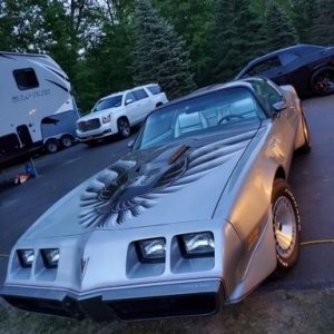 Restore original SCREAMING PHOENIX on 1979 Pontiac Trans Am