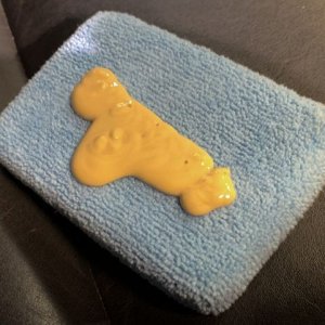 Review IGL Coatings Leather ECOSHINE