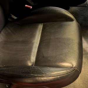 Review IGL Coatings Leather ECOSHINE