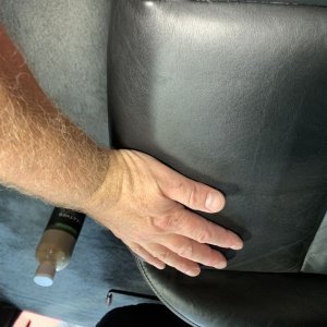 Review IGL Coatings Leather ECOSHINE