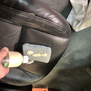 Review IGL Coatings Leather ECOSHINE