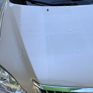 Real World Ceramic Coating Test by Mike Phillips