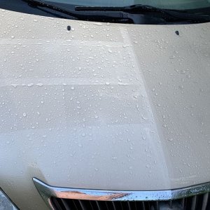 Real World Ceramic Coating Test by Mike Phillips