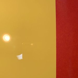 Review IGL Poly Ceramic Coating Mike Phillips Autogeek