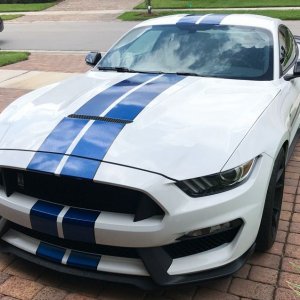 2017 Mustang GT350 detailed by Mike Phillips