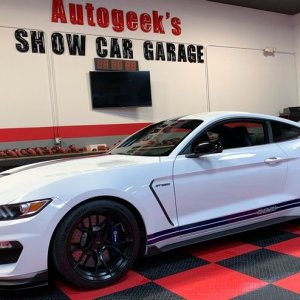 2017 Mustang GT350 detailed by Mike Phillips