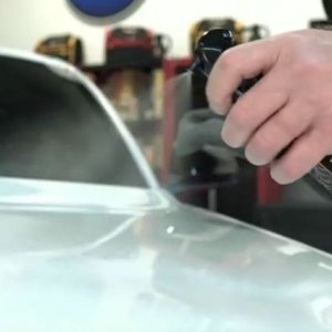 2017 Mustang GT350 detailed by Mike Phillips