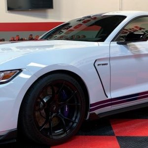 2017 Mustang GT350 detailed by Mike Phillips