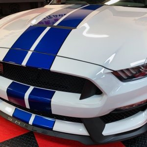 2017 Mustang GT350 detailed by Mike Phillips
