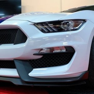 2017 Mustang GT350 detailed by Mike Phillips