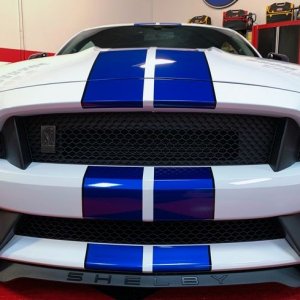 2017 Mustang GT350 detailed by Mike Phillips