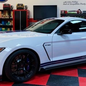 2017 Mustang GT350 detailed by Mike Phillips