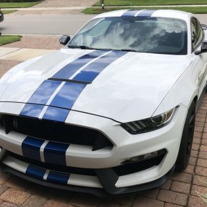 2017 Mustang GT350 detailed by Mike Phillips