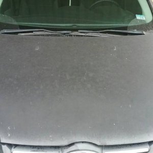 Really Bad Paint