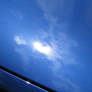 IMG_08341